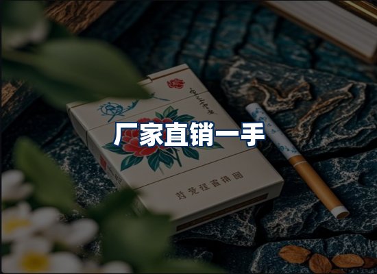 专业团队办公环境